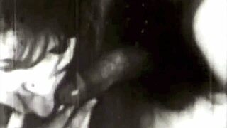 dark lantern entertainment vintage porn collection