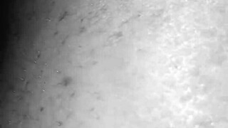 Redhead milf stretched by BBC!