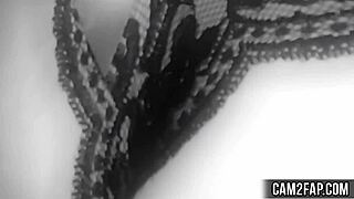 Free Milf Pussy Video