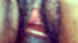 Niplexnija - He Gave It To Me The Way I Want It