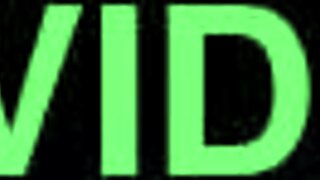 have you ever seen the movie bird boxxx in detail