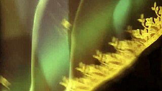 Friend shares sacred bollywood dance with girlfriend