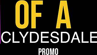 Promotional video taming the ass of a clydesdale