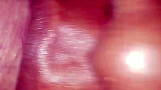 Amateur Blowjob Titfuck Cumshot Interracial?