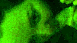 anna maria giving that retro blowjob to hubby years ago, so hot