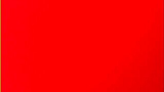 Huge cream pie just for you 😋