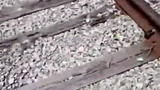 Older fisherman gives golden shower to black MILF outdoors