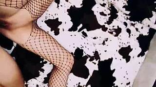 A wife in an erotic fishnet bodysuit beautifully spreads her legs