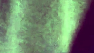 Recording a skinny brazilian amateur with natural tits using a hidden camera in a homemade scene