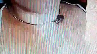 twetty, the charming milf, shares her everyday story