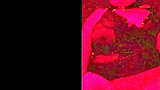 will this shaved pussy milf be yours someday