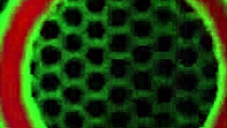 माइल्स लॉन्ग सिजी सेव के साथ हॉट एक्शन में डबल बीजे स्कोर करता है