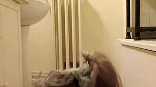 October 15, 2024 - Slave in autosuggestive piss and humiliation