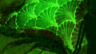 Captured Blonde Mermaid Choked and Throat Fucked by Sadistic Fisherman