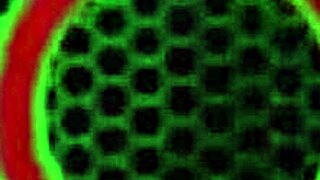 Coed Kimber Lee gets slammed hard by Ms Maggie Green, wow!