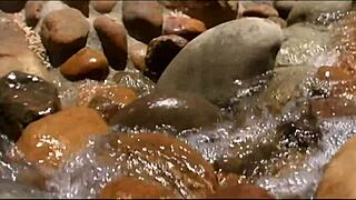 Lena rides cock outdoors