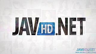 i crave these japanese pussies in volume 24