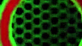 blonde haired cougar vicky vette feels intense pleasure masturbating her hairy pink pussy