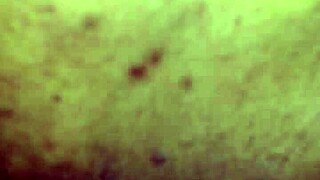 Redbone milf lets me suck on that pussy with intense emotion