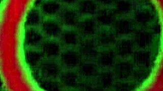 i love these tasty milfs blonde lesbians kayla paige fucking wet ass