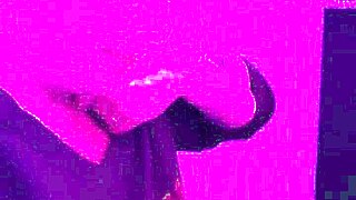 wife gives naughty blowjob