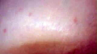 Chocolate hare delays white rabbit