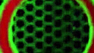 Yasmine De Leon Works On That Bbc With Rome Major