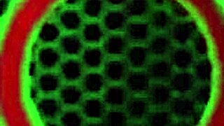 Katie Kush Danielle Renae Family Swap