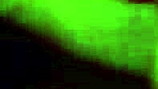 Black BBW mature woman sucks young cock in raw interracial action