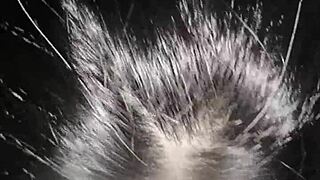 अशिरा की खूबसूरत चूत मुझे जोर से उड़ाती है