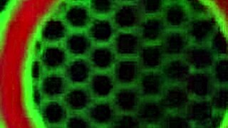 Moaning Milf Sara Jay Fucks Dildo, Plays with Tits