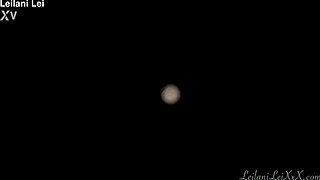 pov foot worship joi trailer