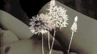 Vintage Granny Fanny In Secret Life With Hairy Mature Scenes.