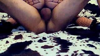 when the legs are spread the wife is ready