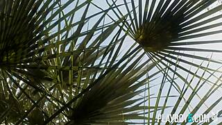 arab milf babe leighla habib strips outdoors for playboy magazine