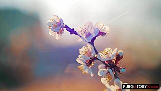 Purgatoryx My Deepest Desires Vol 1 Part 1 With La Petite Blonde