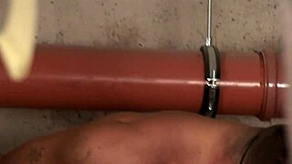 Amateur Anal Group Porn