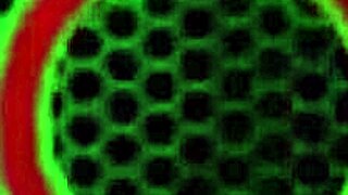 sara jay enjoys playing with her toys