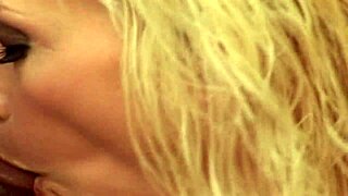 blonde milf nikki hunter, you ready to take this big black cock outdoor?