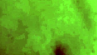 Esposa caliente rebota su gran culo en la polla con orgasmos múltiples intensos - amateur.