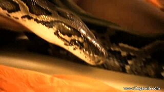 Are you dreaming of dancing in erotic ways that feel so sensual and free tonight?