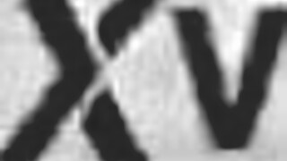 Hey, are these curvy busty pool vixens ready to dive into some fun?