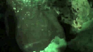 hey check out my secret life as worlds greatest erotic story in vintage silent movies