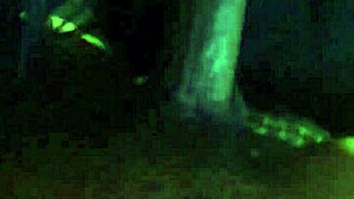 Kingdinglong Enjoys BBC Gumjob from Mature White Cougar