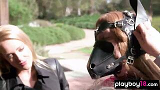 Kate Introduces the Mature Pony Roleplay Enthusiasts