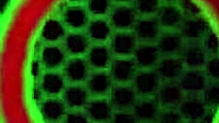 Blonde Vicky Vette Takes a Horny Shower to Show off Her Sexy Tanlines