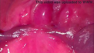 oh man, like this amateur pink pussy after 275 days since losing virginity, wet and shaved from homemade couple licking