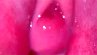 Amateur couple licks and fucks shaved pink pussy 244 days after virginity loss