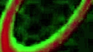 Skinny Brunette Milf Wicked Yummy Gets Creampie From Rome Major