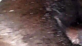 my friend's curvy ebony wife spreads wet pussy bed